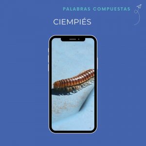 palabras compuestas ciempiés spanischlernen