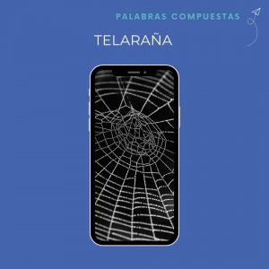 palabras compuestas telaraña