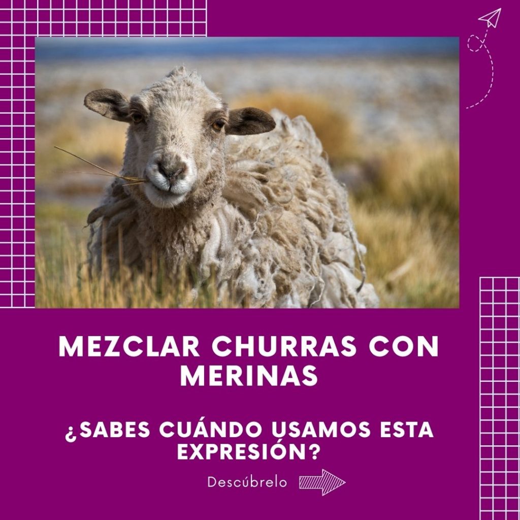 spanische ausdrücke expresion española ovejas